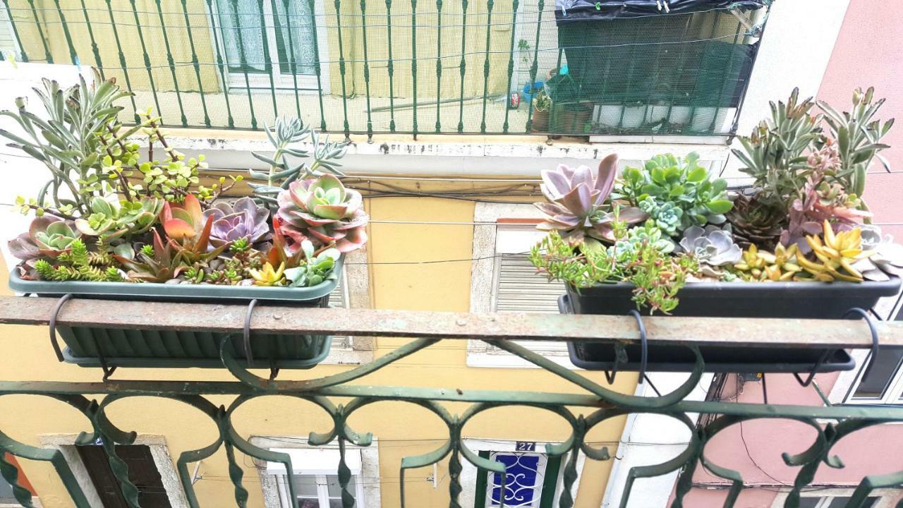 Misericordia! Bairro Alto Concept Appartement
