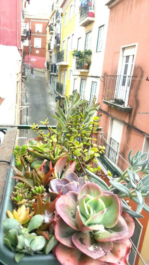 Appartement Misericordia! Bairro Alto Concept *
